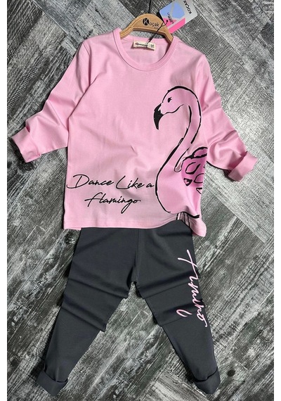 Koçak Kids Flamingo Desenli Pembe Renk Kız Çocuk Mevsimlik Taytlı Takım Pembe