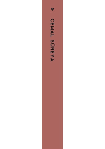 Cemal Süreya / Şairin Hayatı Şiire Dahil - Can Yayınları