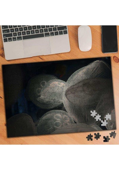 Denizanası 240 Parça Puzzle Yapboz-1031442