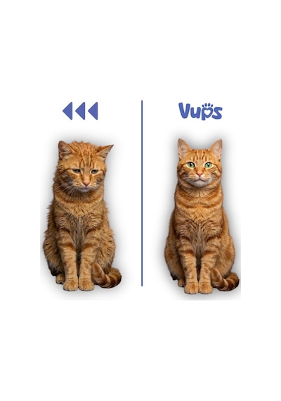 Vups Tüy Yumağı Karşıtı Kedi Malt Macunu 100 Gr