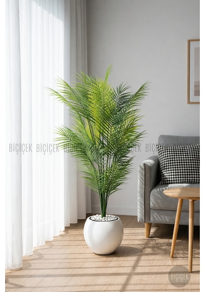 Biçiçek Areka Ağaci 24 Yapraklı 130 Cm Beyaz Küre Saksıda