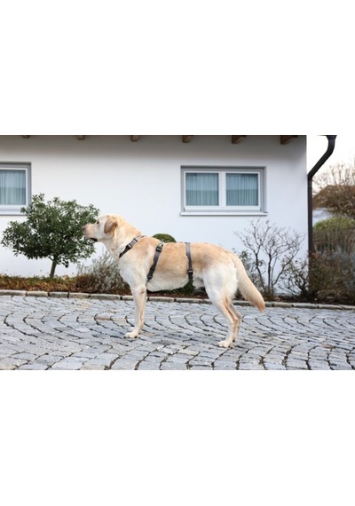 Kerbl Köpek Sırt Tasması Kaçış Önleyici 64 x 100 CM Gri