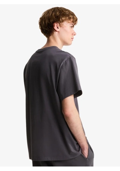 The North Face Nf0a8gqe-dom Essential Center Logo Relaxed Short Erkek T-shirt Gri