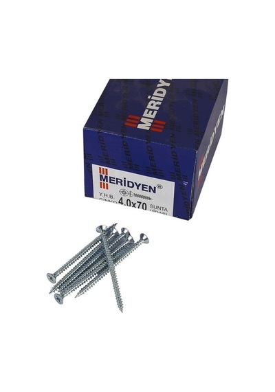 Meridyen 4.0X70 Sunta Vidası ( 200 Adet ) N11.58756