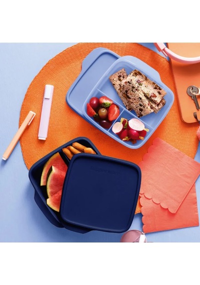 Tupperware Okula Gidenler İçin Tupperware Lunch Box 178463761 MAvi