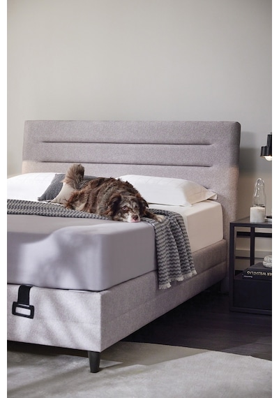 Yataş Bedding Supreme Pedic Baza, Başlık 2'li Set 100x200 - Kum