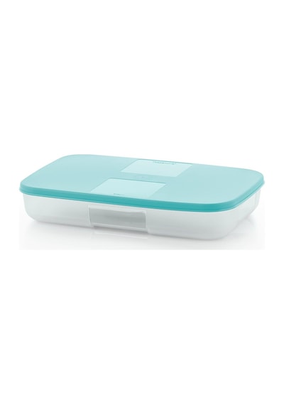 Tupperware 650 ML Buzdolabı Saklama Kabı Çok Renkli