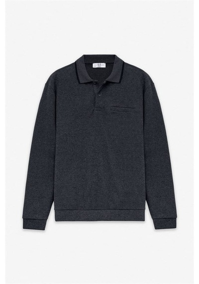 Süvari Antrasit Regular Düz Polo Yaka Sweatshirt Ssw2013700002-s08