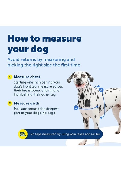 Easy Walk No-pull Köpek Göğüs Tasması, Çekmeyi Önlemeye Yardımcı, Kontrolü Ele Alın Ve Tasmayla Daha İyi Yürümeyi Öğretin, Large, Sarımsı Turkuaz/gri
