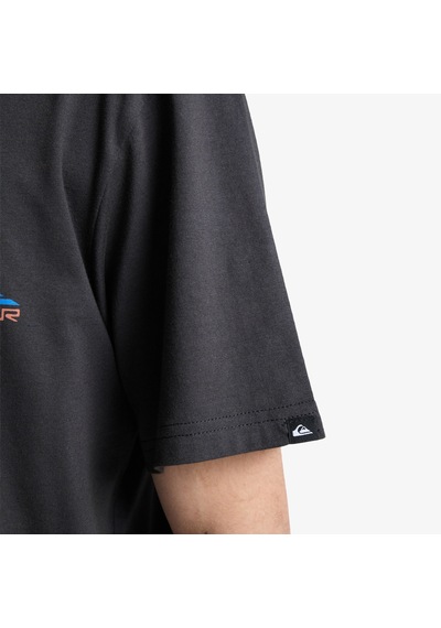 Quiksilver Fruits Tide Erkek Gri T-shirt Eqyzt08285