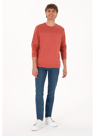 U.S. Polo Assn. Erkek Regular Fit Bisiklet Yaka Gül Kurusu İnce Sweatshirt 50315455-VR026