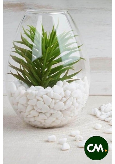 Tr Cmdoğal Dolomit Taş 500 Gr, 1-2 Cm, Dekoratif Vazo, Akvaryum, Teraryum Taşı, Beyaz Diğer