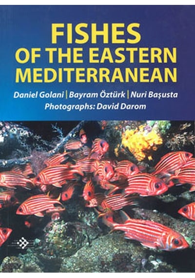 Fishes Of The Eastern Mediterranean