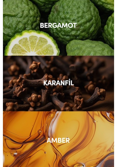 Ambre Edp Kadın Seyahat Boy Parfüm 10ml Amber-paçuli-gül Bergamot, Sedir, Karanfil, Vetiver Aromatik