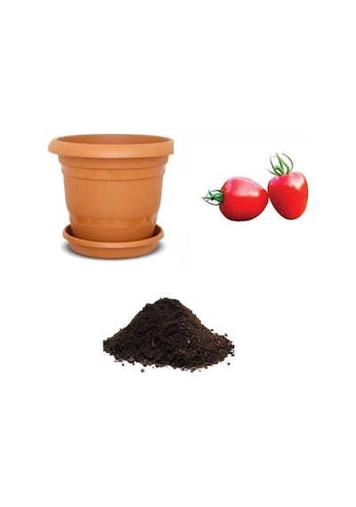 Nadir Çilek Domatesi Tohumu Ekim Seti