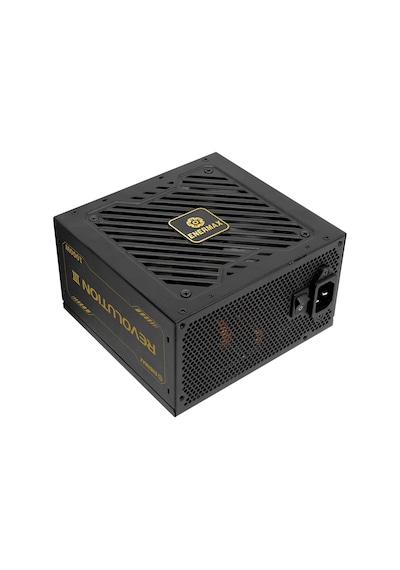 Revolutıon Iıı 1000w 80+ Gold Pcıe 5.1 Full Modüler Atx 3.1 Güç Kaynağı Erv1000g-ahg-mac
