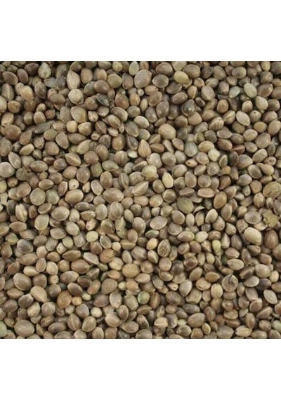 Yerli Çedene. Kendir Tohumu 1 Kg
