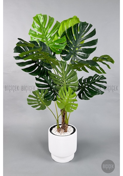 Biçiçek Yapay Monstera Ağacı Deve Tabani 160 Cm Beyaz Vega Saksıda
