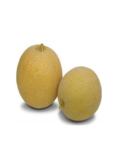 Paket 300 Tohum Mis Kokulu Bal Ananas Kavun Tohumu