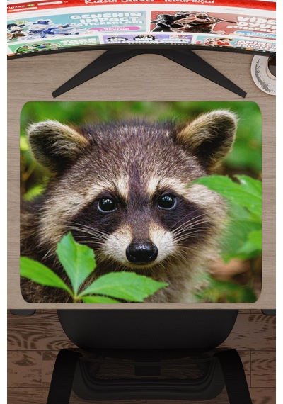 Rakun Kaymaz Dikişli Kauçuk Oyuncu Mousepad V3 - 48x40 Xl Gaming Mouse Pad Fare Altlığı