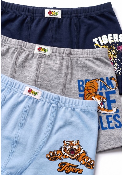 Öts Erkek Çocuk 3 Lü Pamuklu Boxer Baskılı Konfor Odaklı Tasarım 7390-3 Renkli