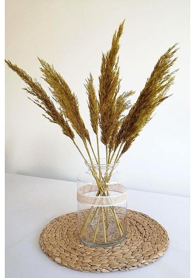 Alyones 8'li Büyük Demet Pampas Sarı 100cm Boyunda Diğer
