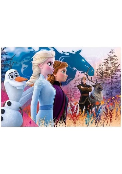 Idefix Trefl Frozen2 Çocukpuz24Prç Magic