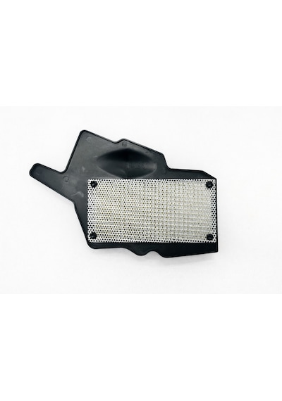 Tvs Raider 125 Hava Filitre 1