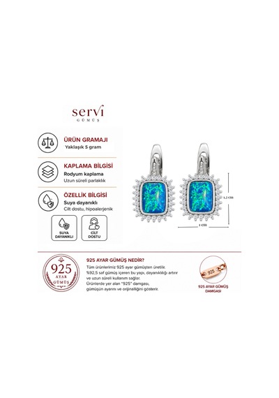 Servi 925 Ayar Gümüş Zirkon Çerçeveli Opal Küpe-456