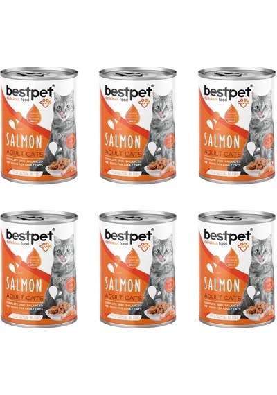 Bestpet Somonlu Jöleli Yetişkin Kedi Konservesi 400 Gr X 6 Adet