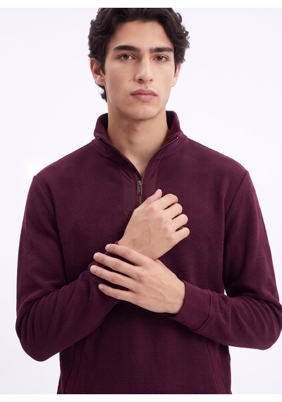 Discovery Expedition D6wm-swt3767 Mürdüm Erkek Fermuarlı Desenli Desen Triko Sweatshirt