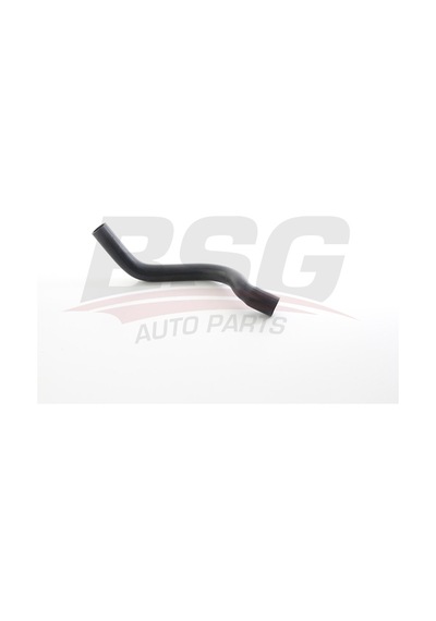Bsg Radyator Hortumu Alt - R9/r11 81-