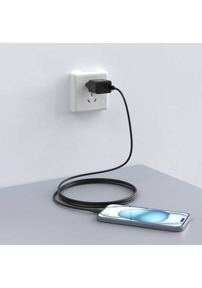 Nettech NT-HCH04 PD Ganprime 30 W Type-c Kablo + Şarj Cihazı