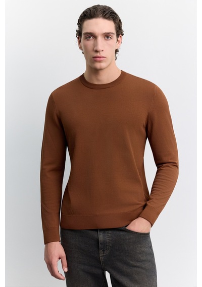 Avva Erkek Kiremit Bisiklet Yaka Rayon Karışımlı Regular Fit Kazak B005026
