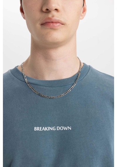 DeFacto Comfort Regular Fit Rahat Kalıp Bisiklet Yaka Sırt Baskılı Yıkamalı Soluk Efektli Sweatshirt - C1664AX24SPIN212