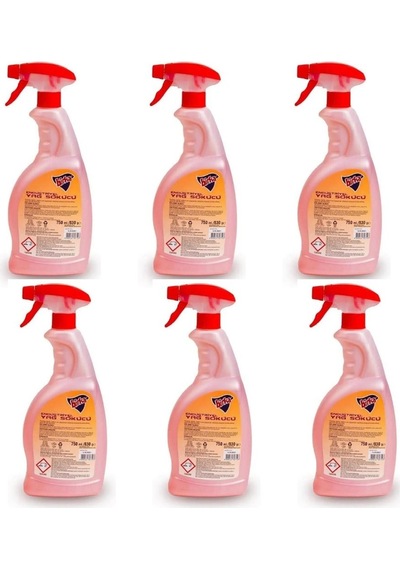 Birka Endüstriyel  Yağ Sökücü 6 x 750 ML