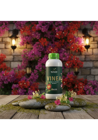 Vinea İkili 500 Ml 2 Adet Dış Mekan Süs Bitkisi Besini - Begonvil Ve Hanımeli İçin Hızlı Büyüme 500 ML
