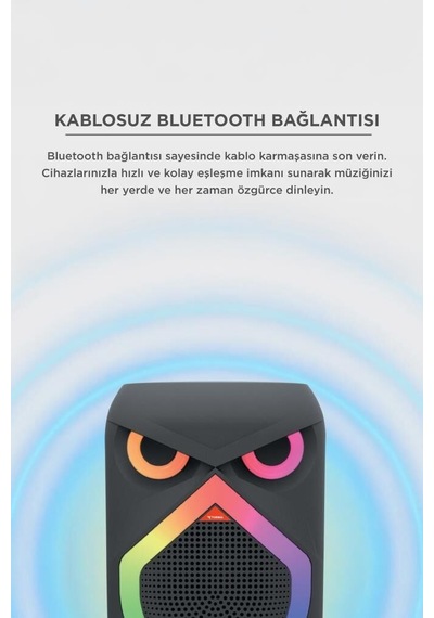 Özel Üretim Frekans Parti Eşyası Akustik Bluetooth Hoparlör Rgb Işıklı Mikrofonlu 12w D80