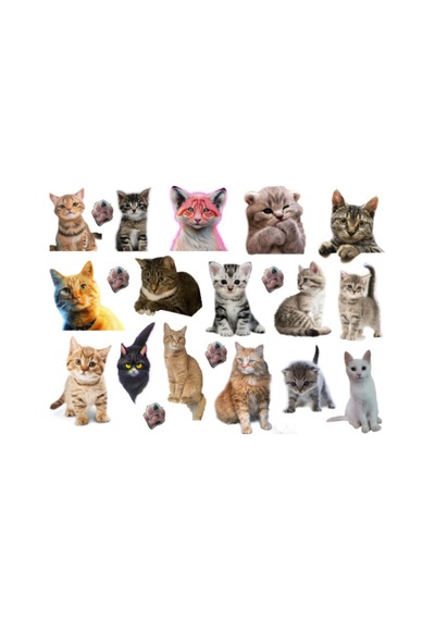 41'li Kedi, Kitty, Fairycore, Sevimli Hayvanlar Sticker Seti - Etiket Seti Scrapbook Bullet Journal Çok Renkli