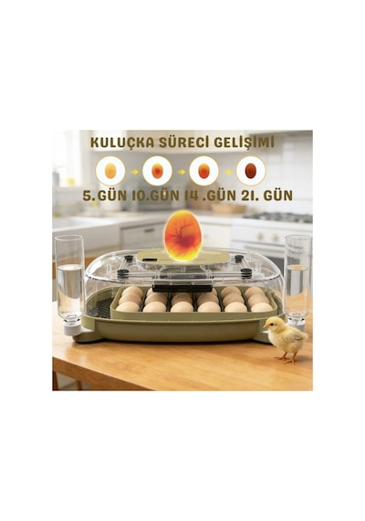 24 Yumurta Kapasiteli Kuluçka Makinesi, Otomatik Çevirme, Isı & Nem Kontrolü, 360 Görüş, Tavuk-örde