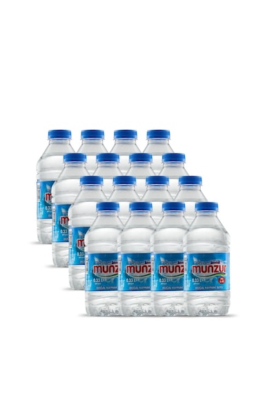 Munzur Su Pet 24 x 330 ML