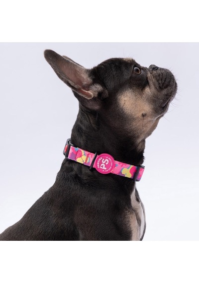 Rosea Camouflage Pembe Kamuflaj Desenli Köpek Boyun Tasması Ayarlanabilir Köpek Tasması
