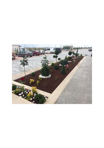 Asenya Kırmızı Pomza Taşı 15-25 Mm 40 Kg Volkanik Ponza Lav Taşı Ponza Kaktüs Sukulent Pomza Tarım Pomzası Diğer