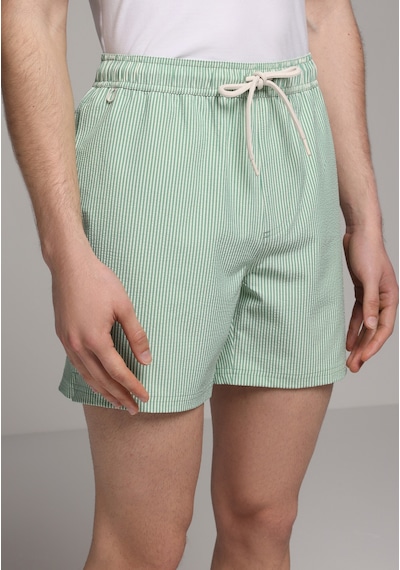 Colin's Colins Slim Fit Çizgili Erkek Yeşil Deniz Şortu Cl1079394 Q1.v1 Fgr