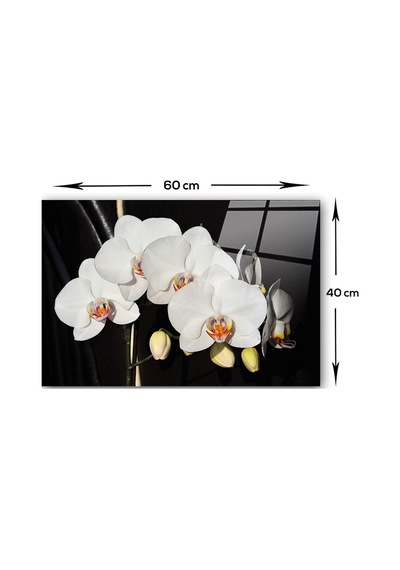 Orkideli Mutfak | Decorita Ocak Arkası Koruyucu | 40cm x 60cm