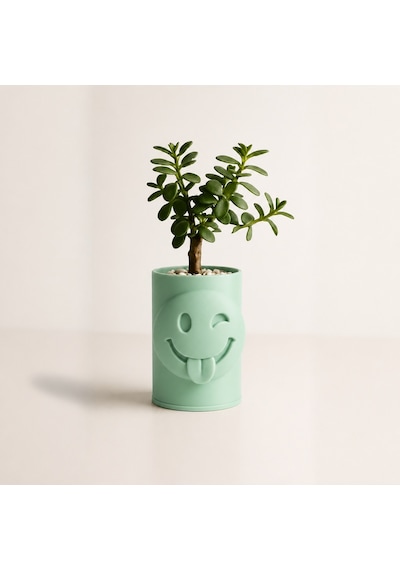 3d Baskı Emoji Planter - Göz Kırpan Yüzlü Sukulent Saksısı-mint Çok Renkli