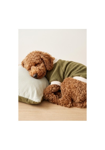 Natura Cozy Pati & Yastık Nefti Yeşil Polar Köpek Sweatshirt Ve Mini Yastık 3 Parça