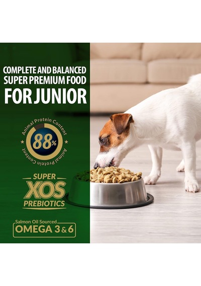 Plus Küçük&mini Irk Tavuklu Yavru Köpek Maması 3 Kg