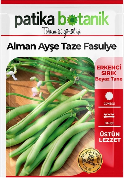 40 Adet Ata Tohumu Alman Ayşe Fasulye
