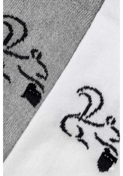 Cocole Socks Erkek Çocuk Patik Çorabı 2 Li Set Beyaz & Gri Sincap Desenli Çok Renkli